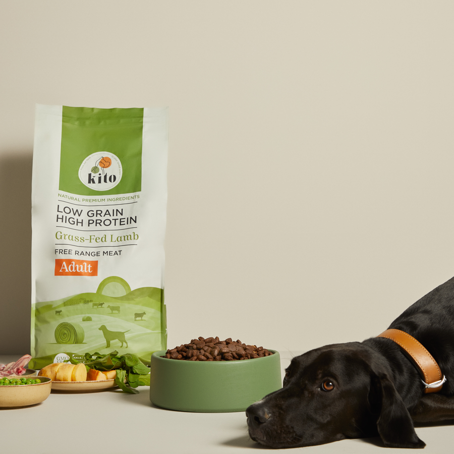 Yetişkin Köpek Maması 7 KG + Köpek Kito Fresh Tanışma Paketi