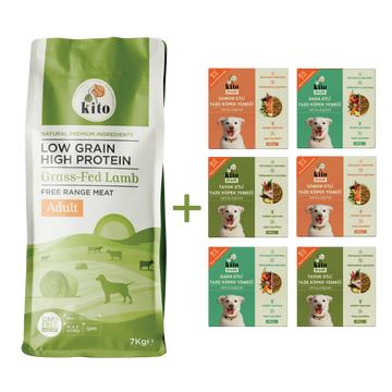 Kuzu Etli Yetişkin Köpek Maması 7 Kg + Kito Fresh %100 Taze İçerikli Mama Tanışma Paketi