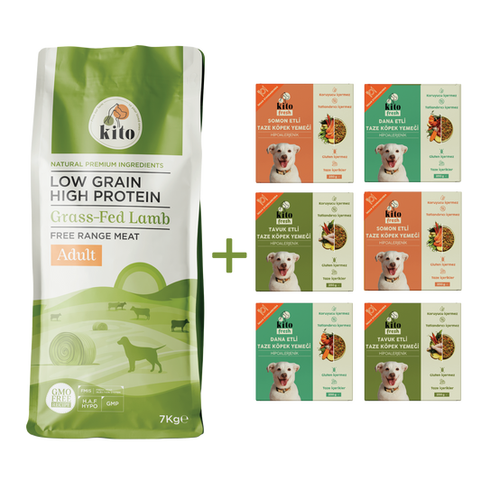 Kuzu Etli Yetişkin Köpek Maması 7 Kg + Kito Fresh %100 Taze İçerikli Mama Tanışma Paketi