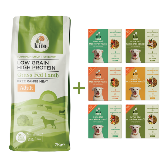 Kuzu Etli Yetişkin Köpek Maması 7 Kg + Kito Fresh %100 Taze İçerikli Mama Tanışma Paketi