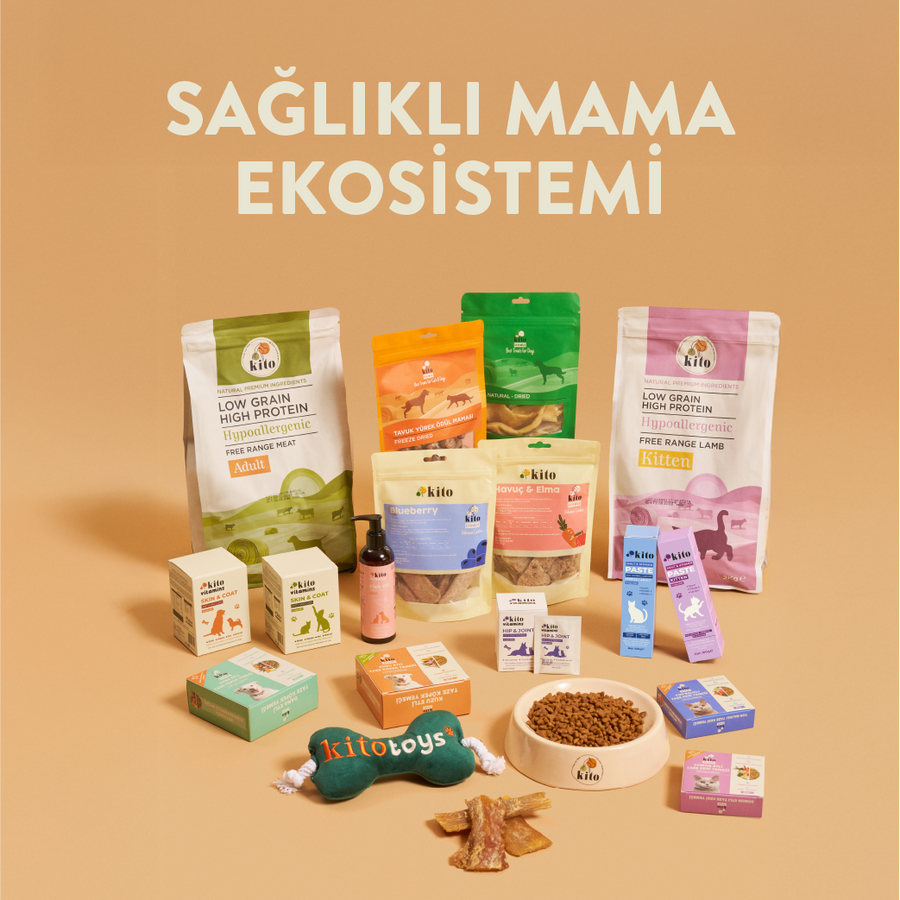 Yavru Kediler İçin Tüy Yumağı Önleyici ve Multivitamin Malt Macunu 100g