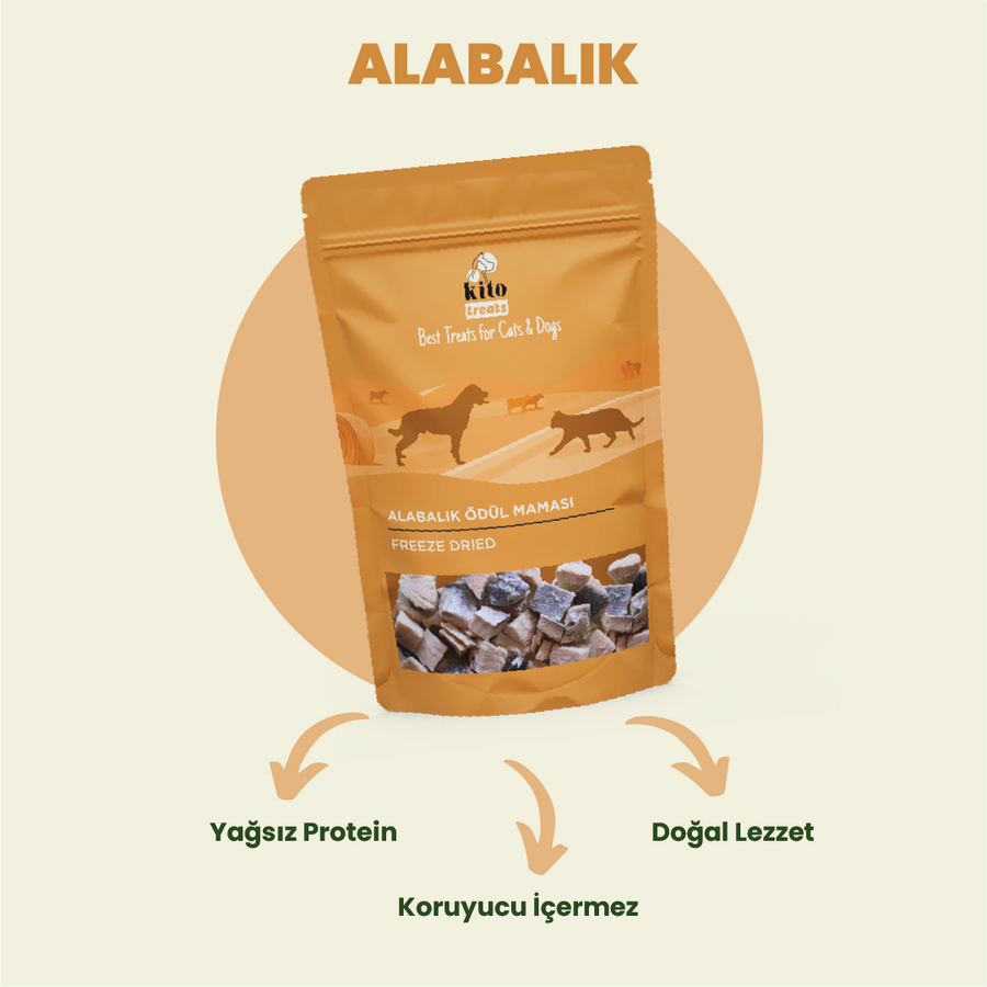 Kito Freeze Dried Alabalık Ödül Maması Kediler için 30 gr