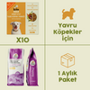 10 Adet Kito Fresh Hindi Etli Köpek Yemeği %100 Taze İçerikli Mama + 2,5 kg Yavru Köpek Maması