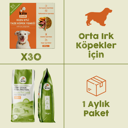 30 Adet Kuzu Etli Kito Fresh + 7 kg Yetişkin Köpek Maması
