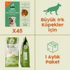 45 Adet Kito Fresh Dana Etli Köpek Yemeği %100 Taze İçerikli Mama+ 15 kg Yetişkin Köpek Maması