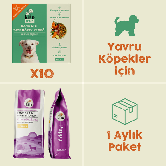 10 Adet Dana Etli Kito Fresh + 2,5 kg Yavru Köpek Maması