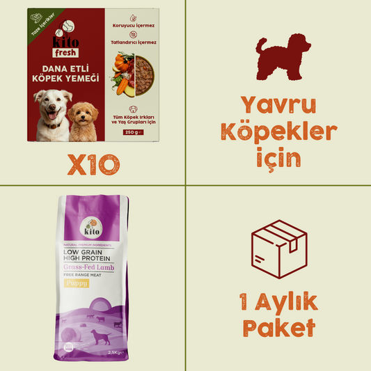 10 Adet Kito Fresh Dana Etli Köpek Yemeği %100 Taze İçerikli Mama + 2,5 kg Yavru Köpek Maması