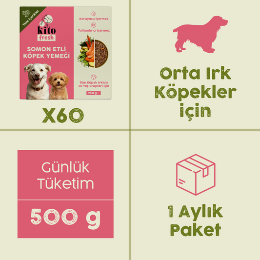 Somon Etli Kito Fresh x60 (Orta Irk Köpekler için Aylık Kito Fresh Paketi)