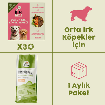 30 Adet Kito Fresh Somon Etli Köpek Yemeği %100 Taze İçerikli Mama+ 7 kg Yetişkin Köpek Maması