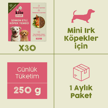 Somon Etli Kito Fresh x30 (Mini Irk Köpekler için Aylık Kito Fresh Paketi)