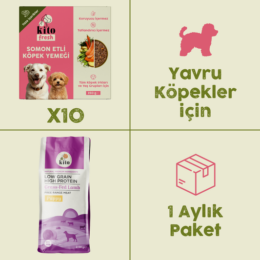 10 Adet Kito Fresh Somon Etli Köpek Yemeği %100 Taze İçerikli Mama + 2,5 kg Yavru Köpek Maması