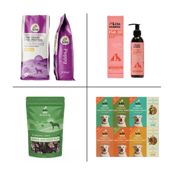 Kito Yavru Köpek Tanışma Paketi