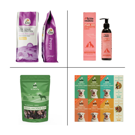 Kito Yavru Köpek Tanışma Paketi