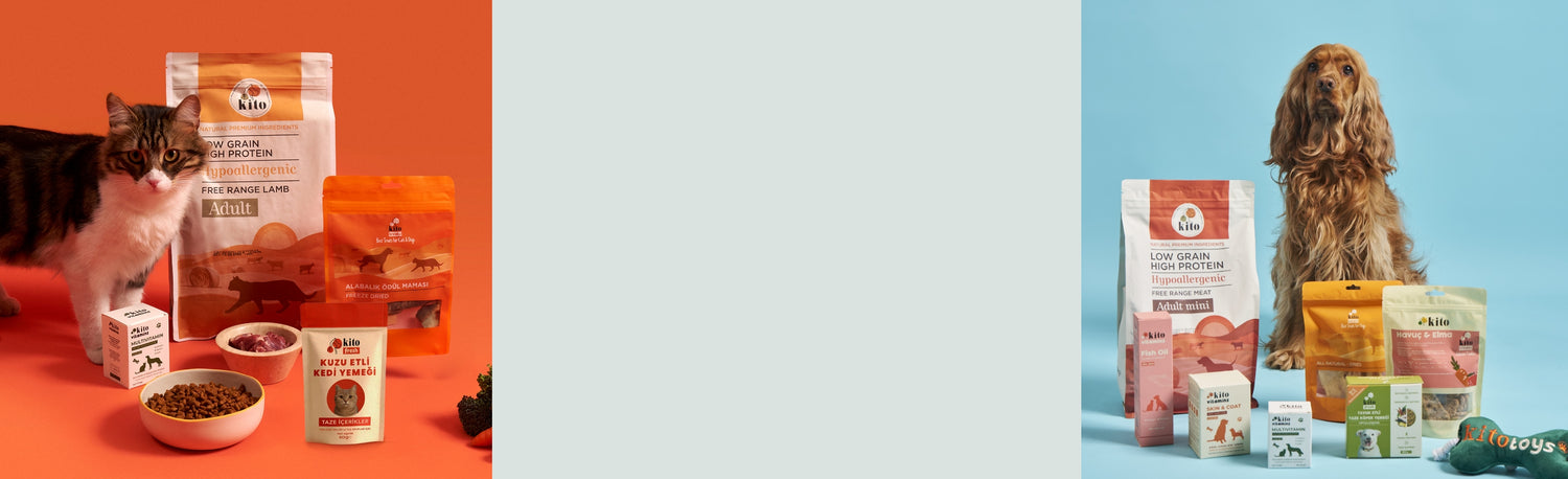 Kito Hakkında Banner