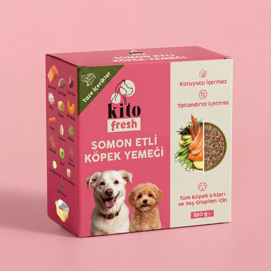 Kito Fresh Somon Etli Köpek Yemeği %100 Taze İçerikli Mama 250 gr