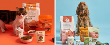 Kito Hakkında Banner