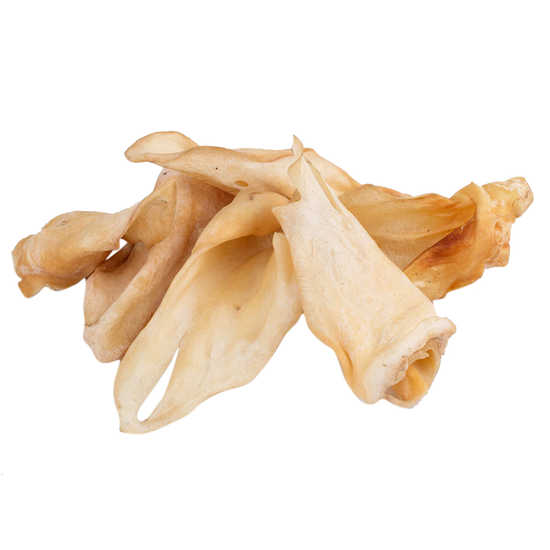 Dana Kulak Ödül Maması