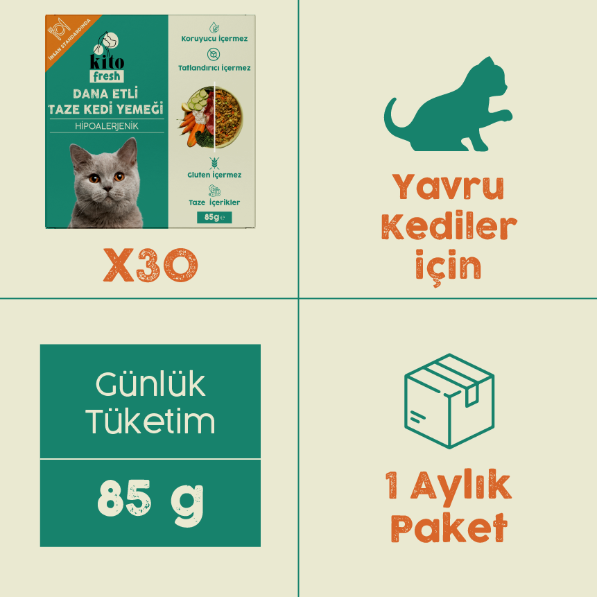 Büyüt