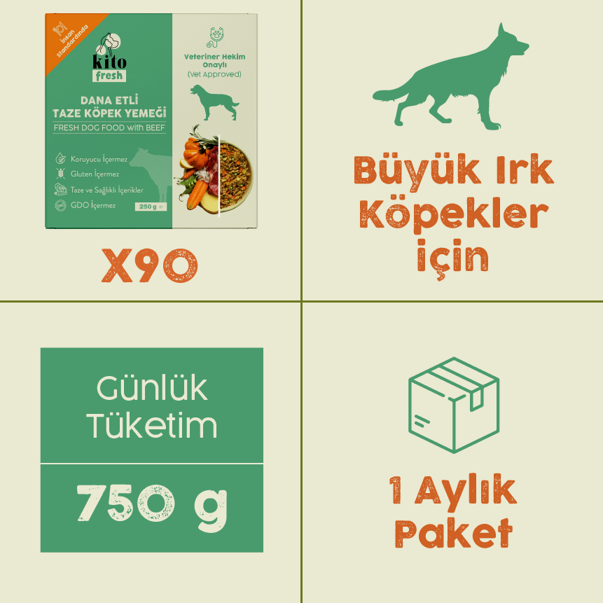 Büyük Irk Köpekler İçin Dana Etli Aylık Kito Fresh Paketi