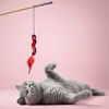 Kito Toys Solucan (Olta) Peluş Kedi Oyuncağı