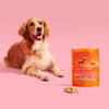 Kito Freeze Dried Somon Ödül Maması Köpekler için (30 gr)