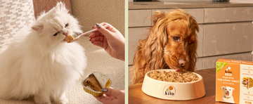 Neden Kito Fresh Banner