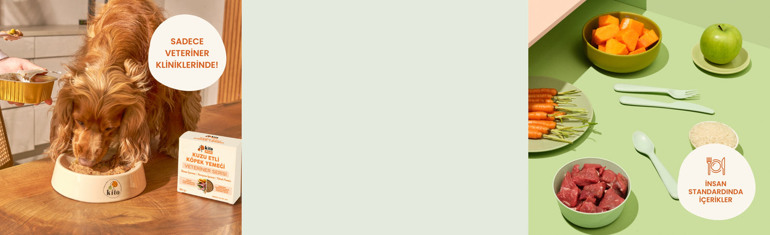 Kito Fresh Veteriner Serisi Banner