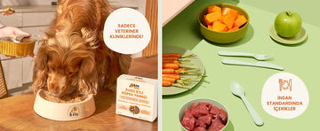 Kito Fresh Veteriner Serisi Banner