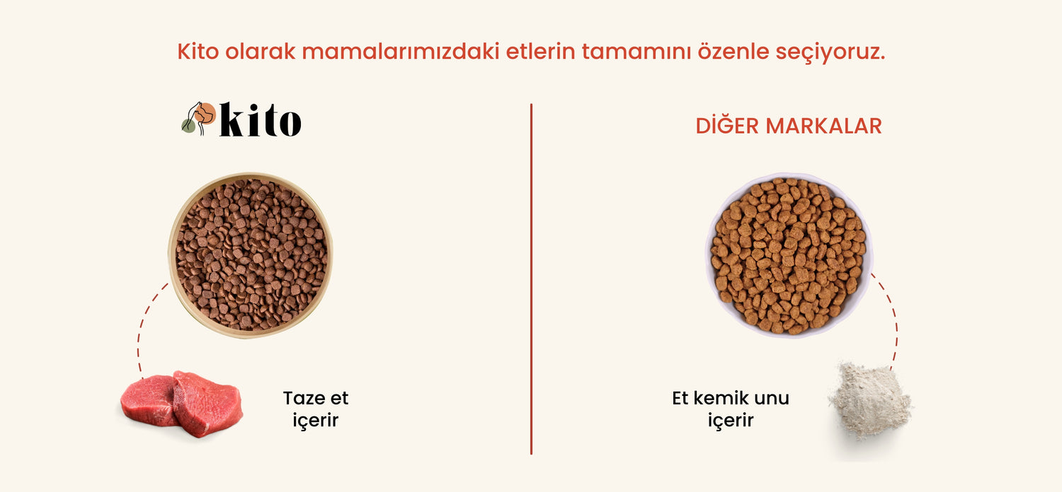 Kito - Diğer Markalar Karşılaştırılması