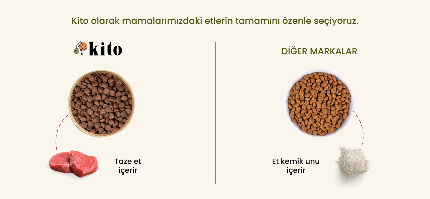 Kito - Diğer Mamalar Karşılaştırılması