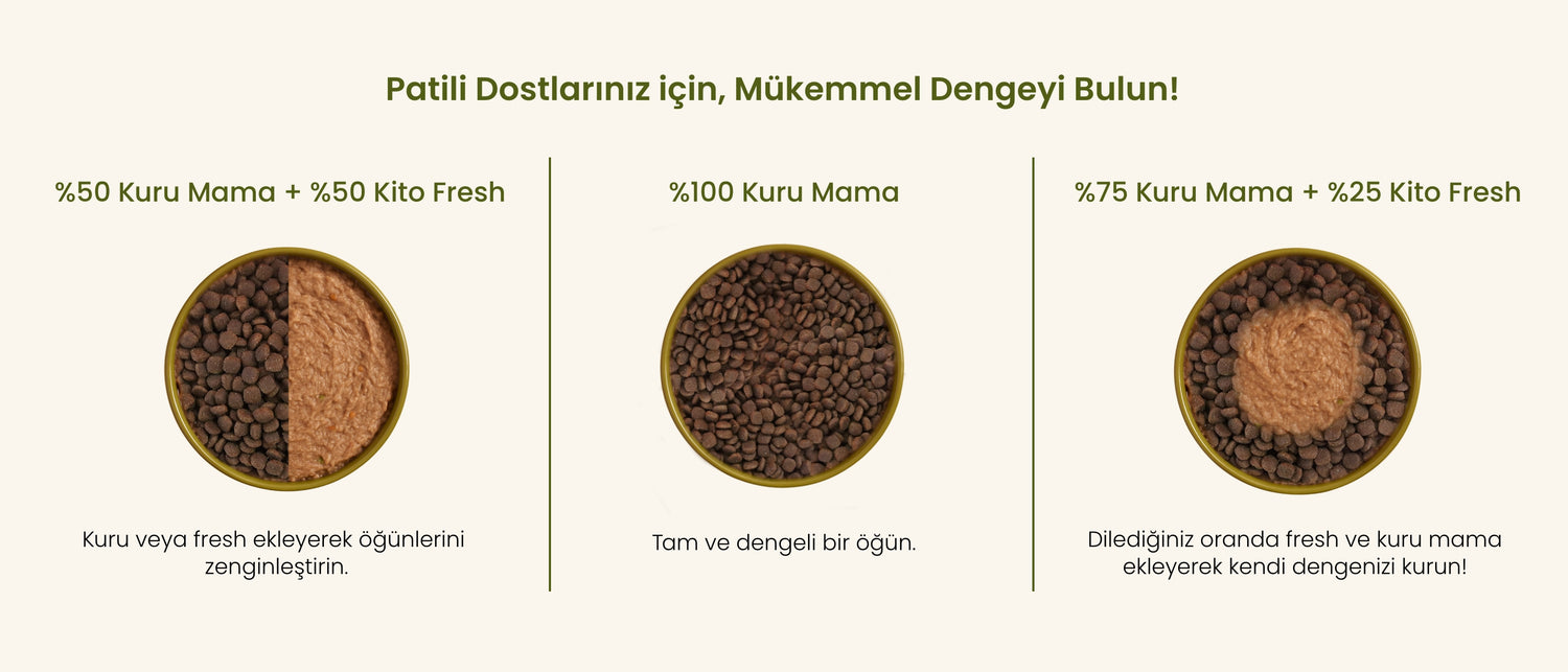 Patili Dostlarınız İçin Mükemmel Dengeyi Bulun
