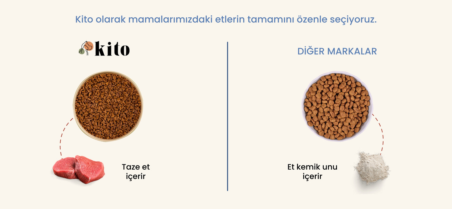 Kito - Diğer Markalar Karşılaştırma