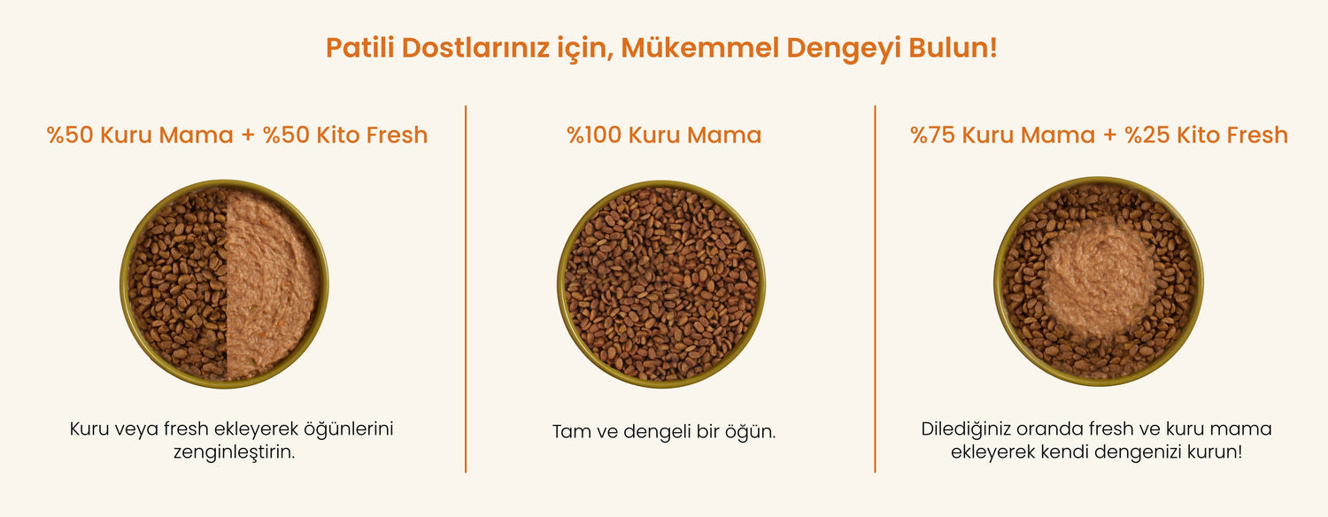 Patili Dostlarınız İçin Mükemmel Dengeyi Bulun