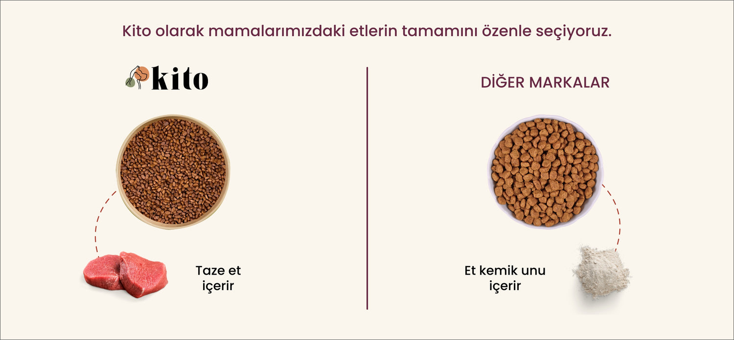 Kito - Diğer Markalar Karşılaştırılması