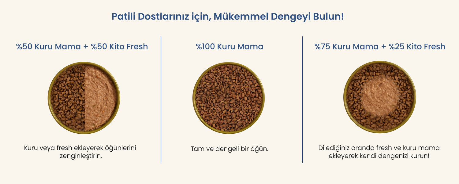 Patili Dostlarınız için, Mükemmel Dengeyi Bulun