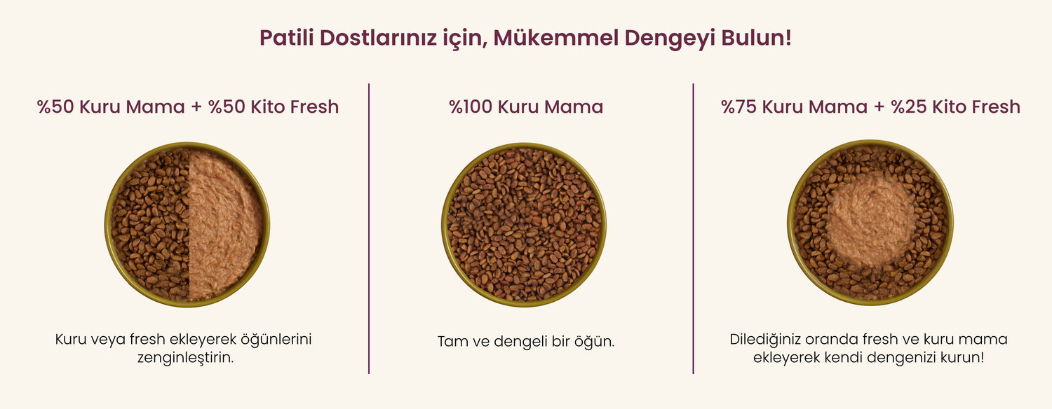 Patili Dostlarınız İçin, Mükemmel Dengeyi Bulun