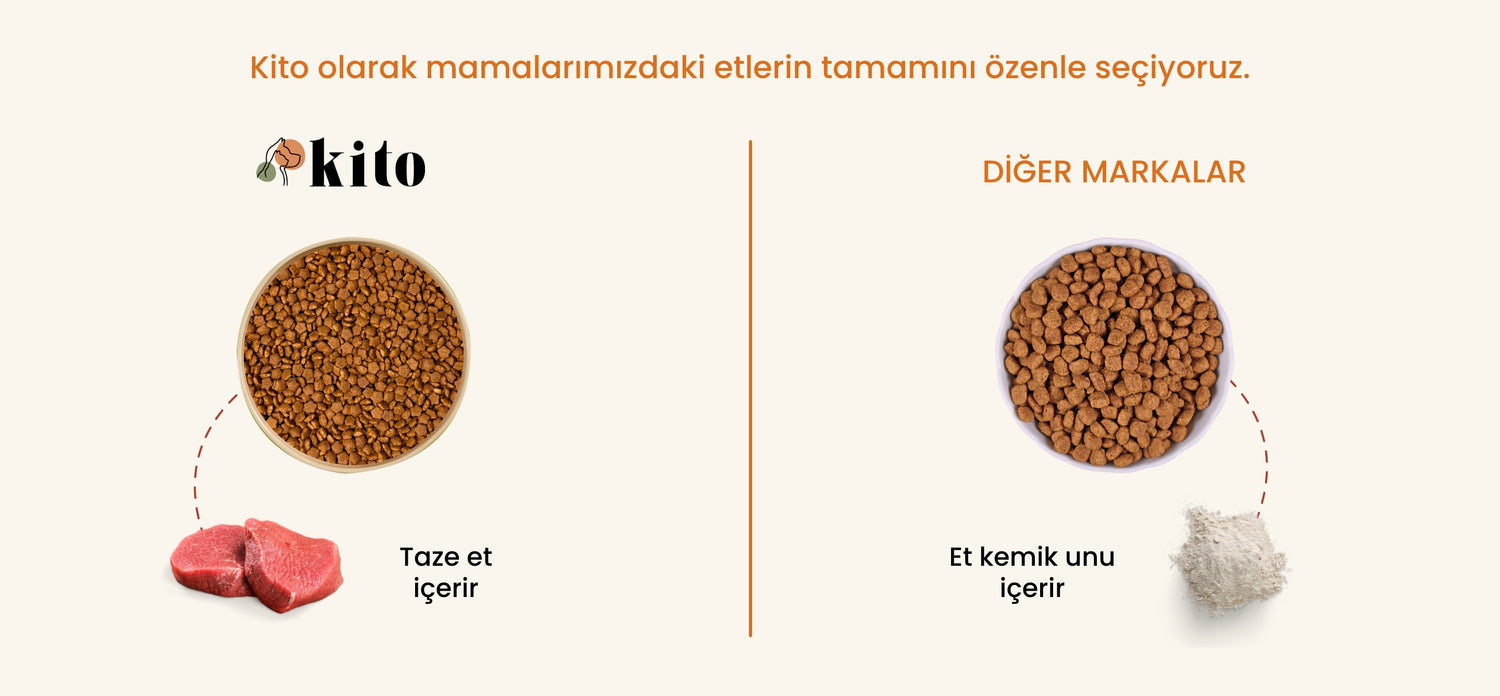 Kito - Diğer Markalar Karşılaştırılması