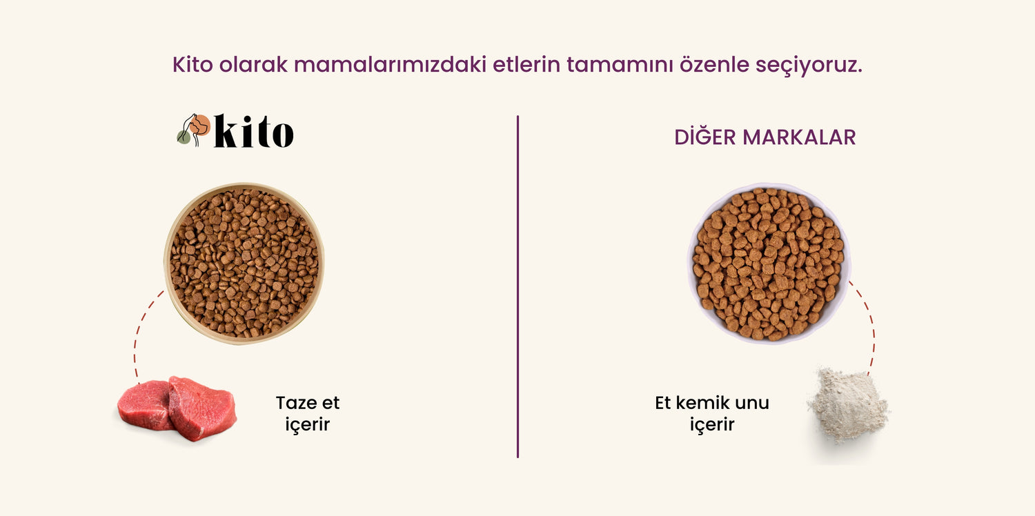 Kito - Diğer Markalar Karşılaştırılması