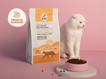 Yetişkin Kedi  Kuru Mama