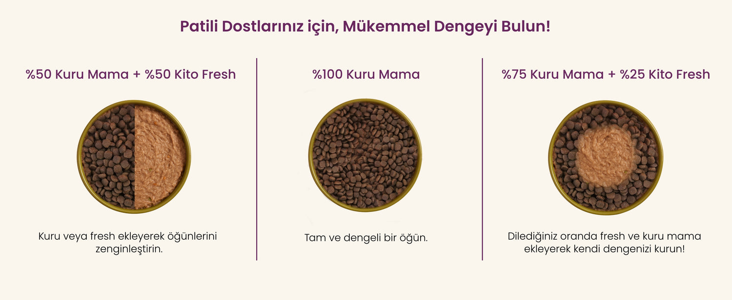 Patili Dostlarınız İçin Mükemmel Dengeyi Bulun