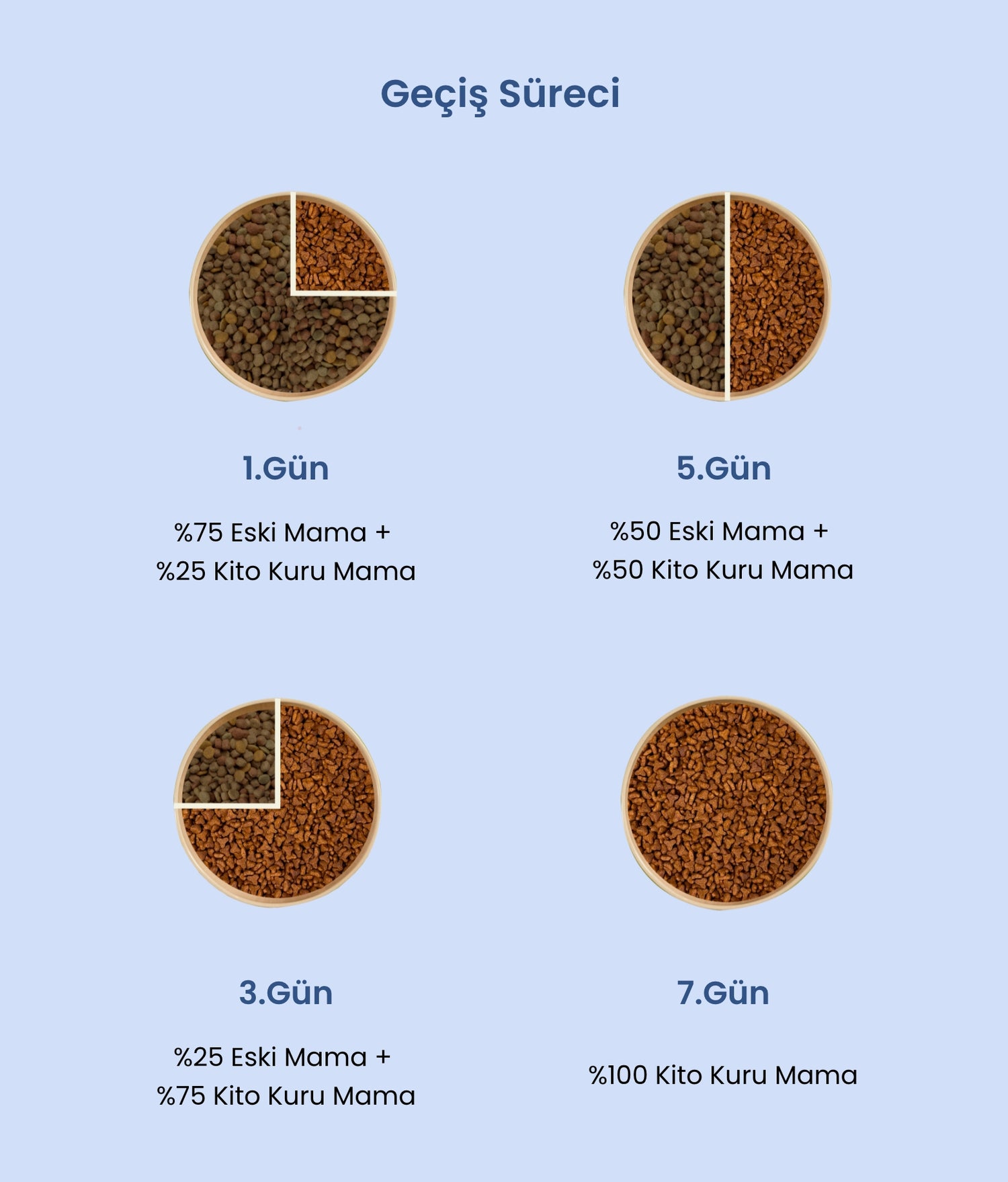 Kito Geçiş Süreci