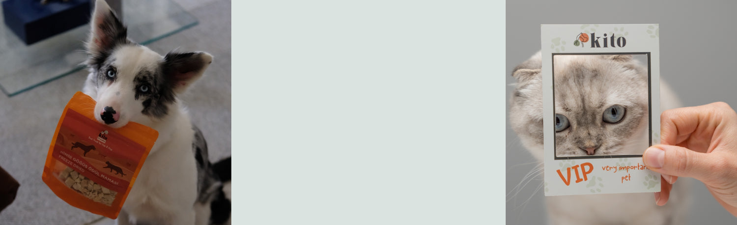 Beslenme Danışmanı Banner