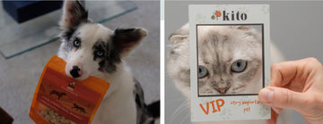 Beslenme Danışmanı Banner