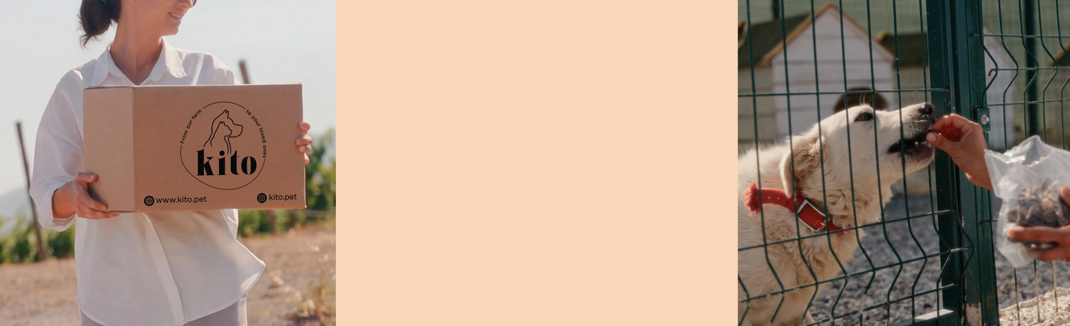 Sosyal Sorumluluk Yolculuğumuz Banner