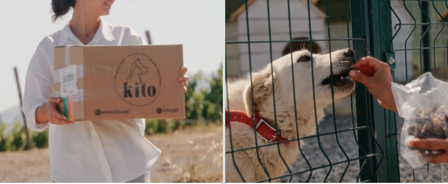 Sosyal Sorumluluk Yolculuğumuz Banner