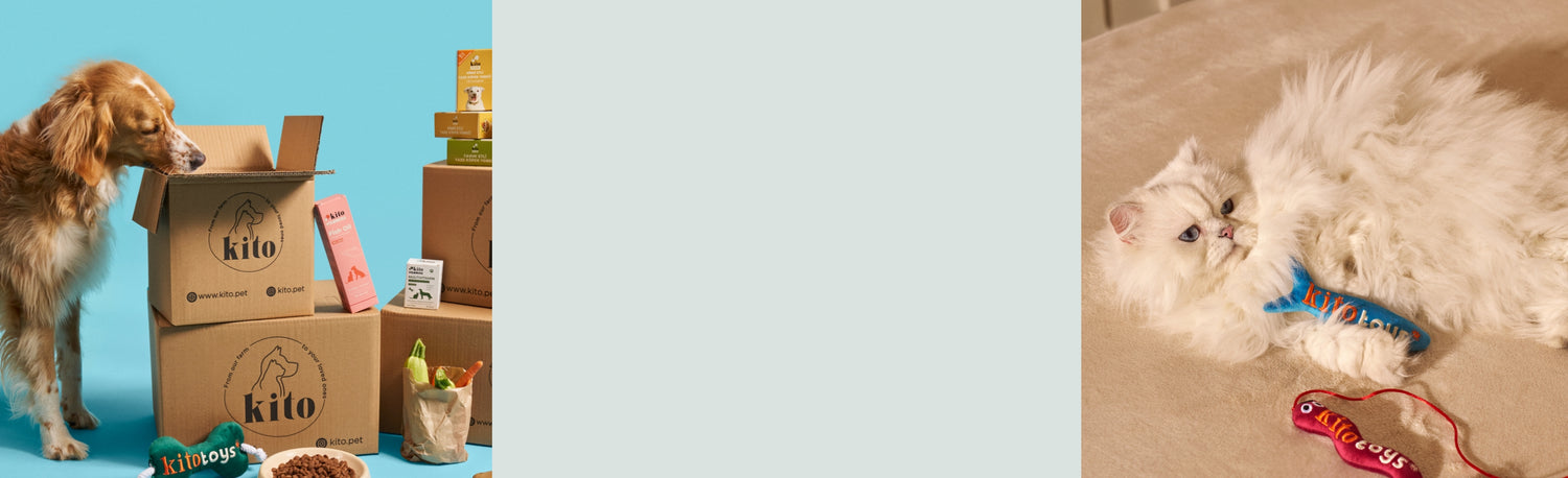 İşbirliklerimiz Banner