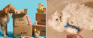 İşbirliklerimiz Banner