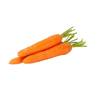 Havuç