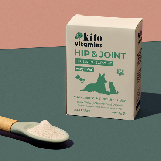 HIP & JOINT