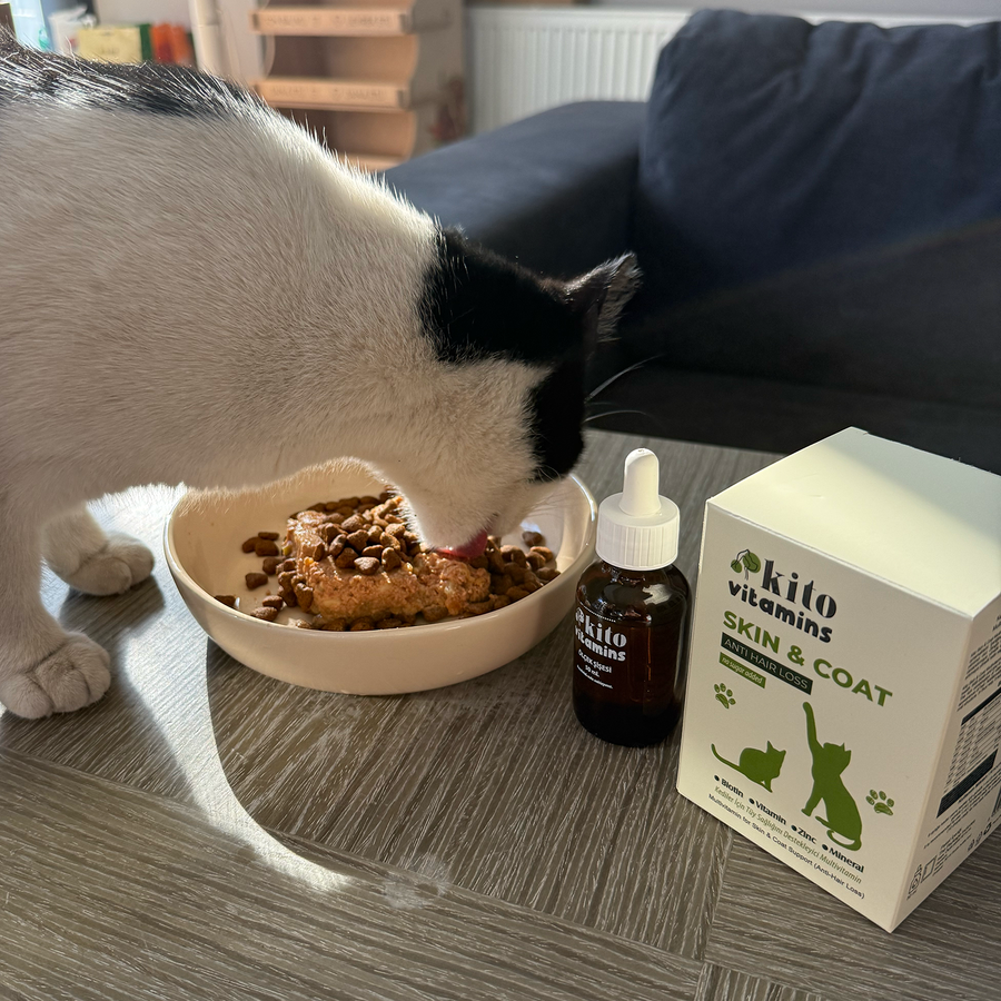 Kito Skin & Coat Supporter Multivitamin for Cats